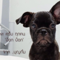 บุญกึ่ม